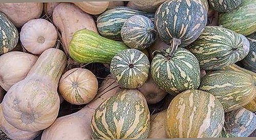 娱乐圈与儿童舞蹈的热议焦点：从“博君一肖”甜蜜互动到简单舞蹈视频的亲子魅力