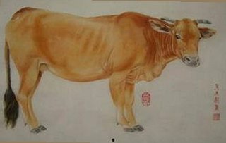 瓜妹冷静解析娱乐圈爆料,明星感恩粉丝互动持续升温